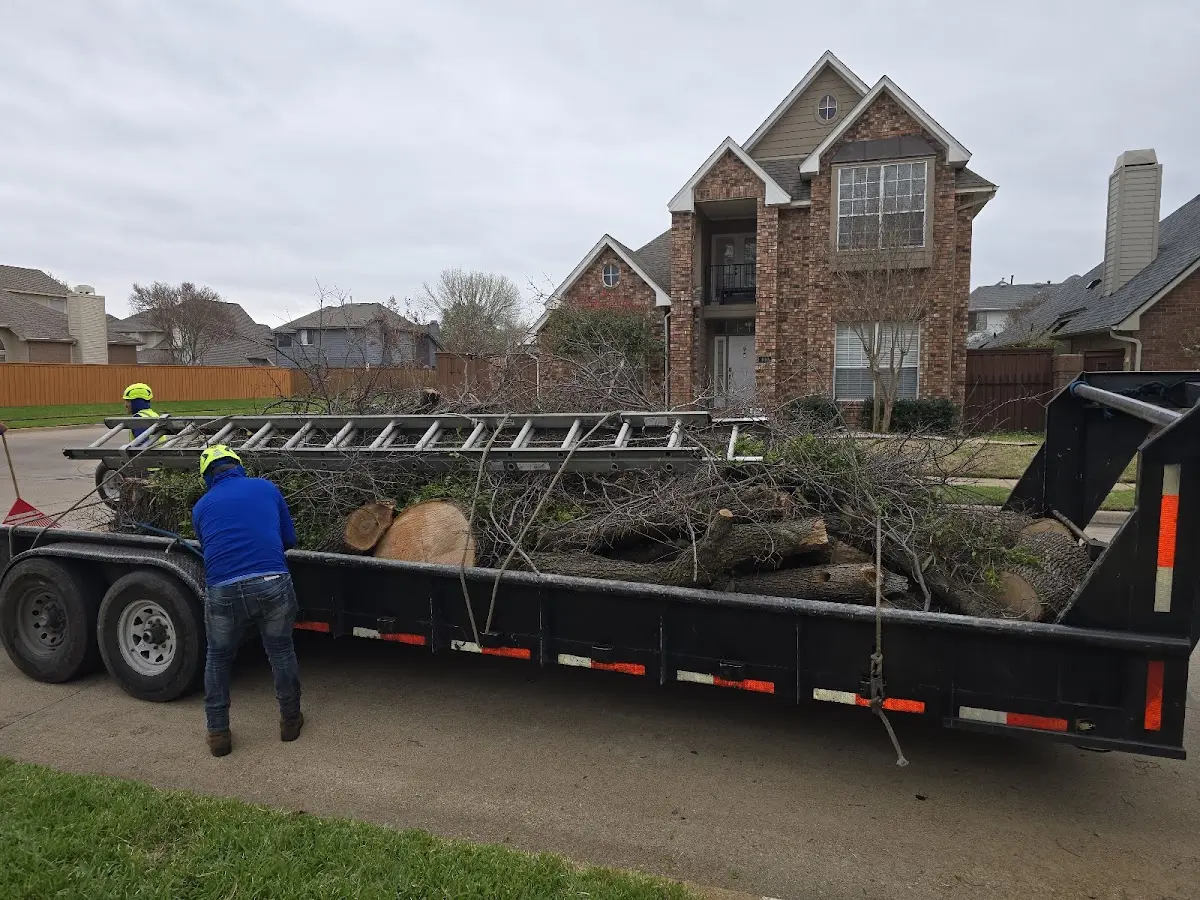 Expert Crown Reduction with proper safety equipment in Northfield